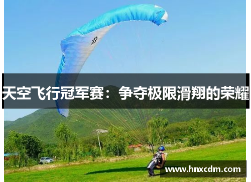 天空飞行冠军赛：争夺极限滑翔的荣耀