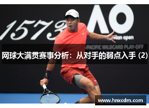 网球大满贯赛事分析：从对手的弱点入手 (2)